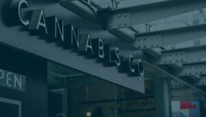 The cannabis industry requires purposeful navigation to market.